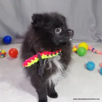 processed/789cb072-84a6-4dbc-9c1c-8a097fa29f96/listing/ac1ef00e-04e5-4627-88c7-f21be3cfe896/aa9ea52f-3b7d-4fb5-bc9c-9aaa4b3a78e5