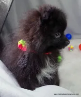 processed/789cb072-84a6-4dbc-9c1c-8a097fa29f96/listing/ac1ef00e-04e5-4627-88c7-f21be3cfe896/b9782728-7998-4b33-89d7-55a46163025f