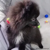 processed/789cb072-84a6-4dbc-9c1c-8a097fa29f96/listing/ac1ef00e-04e5-4627-88c7-f21be3cfe896/f34412e9-5677-4f57-ab48-4e43f605c024