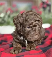 processed/789d1233-c5d3-4b87-8d58-bbd094ffa5ce/listing/06544e12-8035-4bd4-9035-002ea0c5296f/8576b864-c2e2-46e6-b1e0-a150af658f72