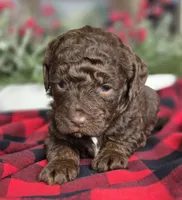 processed/789d1233-c5d3-4b87-8d58-bbd094ffa5ce/listing/06544e12-8035-4bd4-9035-002ea0c5296f/b69ffd7a-3f3a-4c68-9e4d-491363fa41d4