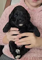 processed/789d1233-c5d3-4b87-8d58-bbd094ffa5ce/listing/ba54cc3c-9861-40d3-9a19-8b9358f79f74/6dd52229-ec82-42d2-87d5-464d66f3044f