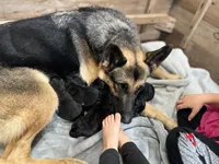 processed/78a90f0c-68e1-470c-bb22-075bf3e41baa/facility/7d7216ff-5b8e-4717-bc3f-08967592ee43