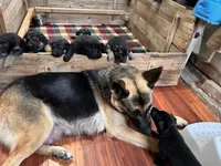 processed/78a90f0c-68e1-470c-bb22-075bf3e41baa/facility/8e599293-da7b-4023-8bdb-697808ab253c