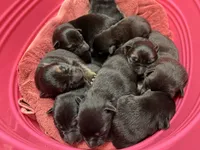 processed/78a90f0c-68e1-470c-bb22-075bf3e41baa/facility/cc42f1eb-3802-4cbd-860a-4386d816a61f