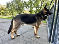 processed/78a90f0c-68e1-470c-bb22-075bf3e41baa/facility/e80af898-477c-42c9-8533-8016edafd6ec