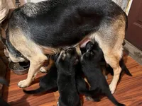 processed/78a90f0c-68e1-470c-bb22-075bf3e41baa/facility/e89f37fb-0f0b-4e4d-8ba4-645dbffacc85