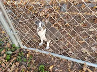 processed/78b0ed17-023e-4fac-ba32-cee3b673cbb4/facility/0da4652d-7225-4ce9-b4d5-eda13e163f0e