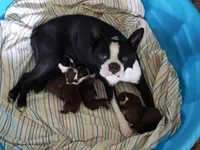 processed/78b0ed17-023e-4fac-ba32-cee3b673cbb4/facility/26108625-b546-420a-a232-43f7c00030e3