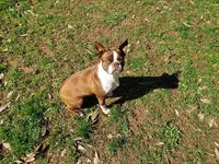 processed/78b0ed17-023e-4fac-ba32-cee3b673cbb4/facility/b8913156-1ad5-483d-bf94-abb9cbd08957