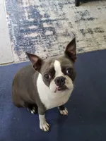 processed/78b0ed17-023e-4fac-ba32-cee3b673cbb4/facility/cb0a24a4-199f-4a47-a563-7ab2798d0103