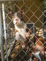 processed/78b0ed17-023e-4fac-ba32-cee3b673cbb4/facility/ce82030c-c805-44fd-b98e-d83e681cf6d2