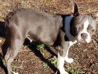 processed/78b0ed17-023e-4fac-ba32-cee3b673cbb4/facility/cf612e42-8c8e-41f5-bff0-bc58c4fba4d8