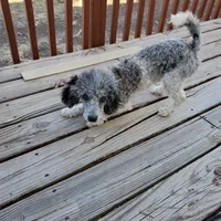 processed/78bc1292-1f4a-4b86-b15c-fe8b76cd6179/facility/32eb5078-8901-4955-87d3-8ec5b6858286