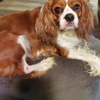 processed/78bc1292-1f4a-4b86-b15c-fe8b76cd6179/facility/3d96b7af-1b0e-4742-84e0-c5731b62b160