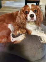 processed/78bc1292-1f4a-4b86-b15c-fe8b76cd6179/facility/3d96b7af-1b0e-4742-84e0-c5731b62b160