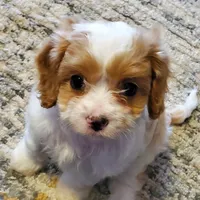 processed/78bc1292-1f4a-4b86-b15c-fe8b76cd6179/facility/3da3645a-7311-46c0-b5e8-86d0adaa8f89