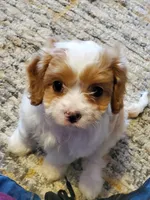 processed/78bc1292-1f4a-4b86-b15c-fe8b76cd6179/facility/3da3645a-7311-46c0-b5e8-86d0adaa8f89