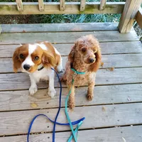 processed/78bc1292-1f4a-4b86-b15c-fe8b76cd6179/facility/93e695df-5560-4e6b-b486-c41042523f8f