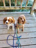 processed/78bc1292-1f4a-4b86-b15c-fe8b76cd6179/facility/93e695df-5560-4e6b-b486-c41042523f8f