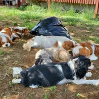 processed/78bc1292-1f4a-4b86-b15c-fe8b76cd6179/facility/b63b03e8-ff4c-43d4-8da7-aa42e3e697f2