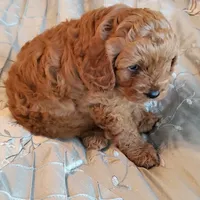 processed/78bc1292-1f4a-4b86-b15c-fe8b76cd6179/facility/c0bcfc7b-6d3e-48aa-921b-d821cde99eea