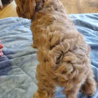 processed/78bc1292-1f4a-4b86-b15c-fe8b76cd6179/facility/e4f10c7d-fba4-4a6d-beda-a1d792ff7aee