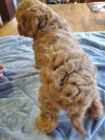 processed/78bc1292-1f4a-4b86-b15c-fe8b76cd6179/facility/e4f10c7d-fba4-4a6d-beda-a1d792ff7aee