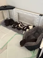 processed/78c2344e-0af3-48fe-af9f-b27203bd8519/facility/06142c46-5e9e-4b03-bf94-8f6d81fbc9d3