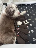 processed/78c2344e-0af3-48fe-af9f-b27203bd8519/facility/63480e31-9826-46a9-9149-8729597ff302