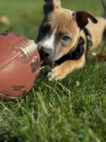 processed/78c71296-5b3d-461b-881d-fdb7cf72549a/listing/64afbbfc-cce5-4ea3-bbcd-ceec6a02c636/3025e25e-63f2-421d-88b9-a9a90453579e