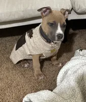 processed/78c71296-5b3d-461b-881d-fdb7cf72549a/listing/64afbbfc-cce5-4ea3-bbcd-ceec6a02c636/3d4fafd6-5490-4f0a-83aa-bda3b6e600f3