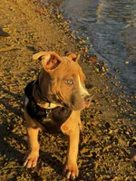 processed/78c71296-5b3d-461b-881d-fdb7cf72549a/listing/64afbbfc-cce5-4ea3-bbcd-ceec6a02c636/76a001ca-e700-45cf-b634-6886bf64d373