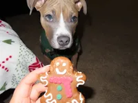 processed/78c71296-5b3d-461b-881d-fdb7cf72549a/listing/64afbbfc-cce5-4ea3-bbcd-ceec6a02c636/7b95ab18-7391-4705-bca8-8bc9e047e62d