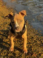 processed/78c71296-5b3d-461b-881d-fdb7cf72549a/listing/64afbbfc-cce5-4ea3-bbcd-ceec6a02c636/9046b479-b984-4488-88cf-f585fca6f448