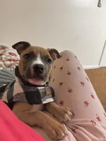 processed/78c71296-5b3d-461b-881d-fdb7cf72549a/listing/64afbbfc-cce5-4ea3-bbcd-ceec6a02c636/9f7ae5d5-f873-488c-a629-8b0e0998f3b9