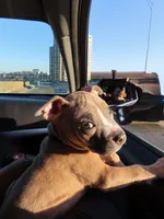 processed/78c71296-5b3d-461b-881d-fdb7cf72549a/listing/64afbbfc-cce5-4ea3-bbcd-ceec6a02c636/aeb5f3b6-8256-4319-90f0-c9364eafb952