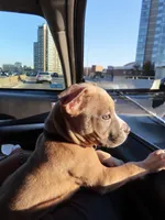 processed/78c71296-5b3d-461b-881d-fdb7cf72549a/listing/64afbbfc-cce5-4ea3-bbcd-ceec6a02c636/be9b5f5f-c3b4-4982-8eb7-01bc58041092