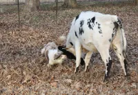 processed/78cdc925-6c7c-41a5-b2fc-1731e0a387a7/facility/0aec39e0-05ff-4b22-88ca-f5ffed553c80