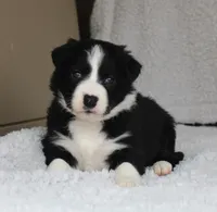 processed/78cdc925-6c7c-41a5-b2fc-1731e0a387a7/facility/0c566161-88f0-4d6f-828e-5c7fbb8d70d2