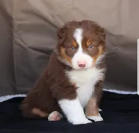 processed/78cdc925-6c7c-41a5-b2fc-1731e0a387a7/facility/25fe3c44-3e3f-46e6-9431-a23c09689e84