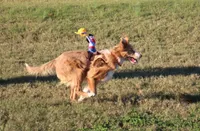 processed/78cdc925-6c7c-41a5-b2fc-1731e0a387a7/facility/502736b2-ab30-48dd-9c0c-48dddba4b363