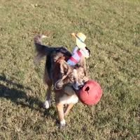 processed/78cdc925-6c7c-41a5-b2fc-1731e0a387a7/facility/86924e0b-c667-486f-871d-b9914af3346b