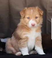 processed/78cdc925-6c7c-41a5-b2fc-1731e0a387a7/facility/bd51baf7-1425-439b-9beb-45eba3e1daa0