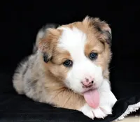 processed/78cdc925-6c7c-41a5-b2fc-1731e0a387a7/facility/da3fcce2-9677-4863-8df4-bbdea7d54789