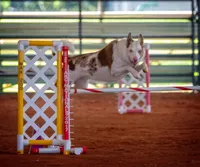 processed/78cdc925-6c7c-41a5-b2fc-1731e0a387a7/facility/f33b085b-bdb2-46a2-841c-f06a83fbd3fc