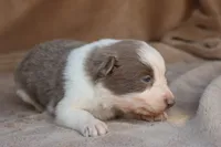 processed/78cdc925-6c7c-41a5-b2fc-1731e0a387a7/listing/1edcb3c0-c09c-4fa3-bf6b-4aaa8c5dbeed/184df799-762d-47e8-a555-075554a4b791