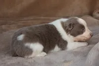 processed/78cdc925-6c7c-41a5-b2fc-1731e0a387a7/listing/1edcb3c0-c09c-4fa3-bf6b-4aaa8c5dbeed/31acb148-4af8-4b4c-8199-0b5d538d2421