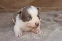 processed/78cdc925-6c7c-41a5-b2fc-1731e0a387a7/listing/1edcb3c0-c09c-4fa3-bf6b-4aaa8c5dbeed/613b376d-2a1b-4ef4-81bd-60ee5f299803