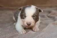 processed/78cdc925-6c7c-41a5-b2fc-1731e0a387a7/listing/1edcb3c0-c09c-4fa3-bf6b-4aaa8c5dbeed/956d2417-b9bf-4a3d-8f38-7563c813033b